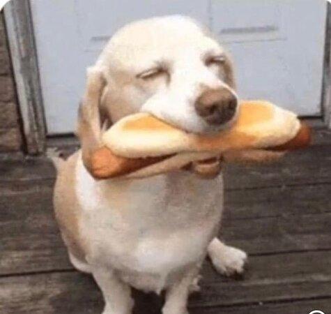 Baden Baden Foodtruck